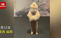 Xôn xao tượng cổ 'mọc lông' ở Trung Quốc