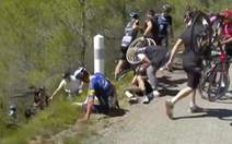 Video: Các tay đua Tour de France rơi xuống vực ở chặng 13
