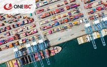 One IBC nỗ lực hỗ trợ doanh nghiệp Việt đầu tư vào thị trường EU