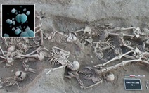 Tìm thấy chủng vi khuẩn 5.000 tuổi gây 'Cái chết đen' tại châu Âu