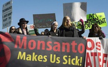 Monsanto bị buộc bồi thường 185 triệu USD vì hóa chất trong đèn huỳnh quang