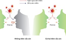 2 yếu tố quyết định khả năng giảm lây truyền virus của vắc xin COVID-19