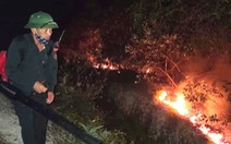 Hà Tĩnh: 400 người được huy động dập vụ cháy rừng thông trong đêm