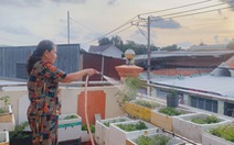 Cuộc thi ‘Lan tỏa năng lượng tích cực 2021’: Mẹ tôi 'biến' sân thượng thành vườn rau