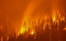 Đám cháy rừng lớn nhất ở Mỹ đe dọa bang California