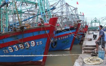 40-55% tàu cá cả nước nằm bờ vì giá dầu tăng, Bộ Nông nghiệp đề nghị hỗ trợ ngư dân