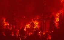 California kích hoạt luật thời chiến để ứng phó cháy rừng