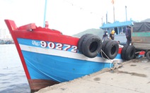 Từ sáng 30-9, cảng cá lớn nhất miền Trung ở Đà Nẵng hoạt động lại