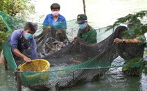 Bộ đội về thôn quê giúp nông dân vác lúa, bắt cá, giao sách giáo khoa cho học sinh