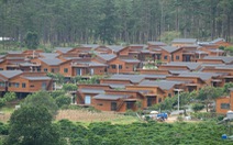 Lâm Đồng đình chỉ dự án bất động sản 'chui'