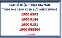 Lập 4 đầu số giả tổng đài ngành điện để lừa thu phí với giá 'cắt cổ'