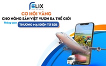 Cơ hội nào cho thương mại điện tử B2B Việt Nam vươn tầm quốc tế?