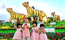 Người dân Quy Nhơn thích thú ngắm gia đình nhà hổ sum vầy
