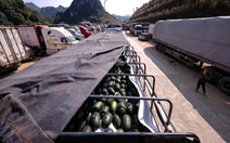 Còn 2.400 xe ùn ứ, Lạng Sơn đề nghị tạm dừng đưa nông sản lên cửa khẩu