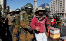 10.000 con ong mật 'tham gia' tuần hành ở Chile, chích 7 cảnh sát