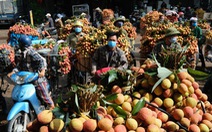 Trung Quốc ngừng nhập, trái cây lại bán đổ bán tháo: Do đâu, có lối ra không?