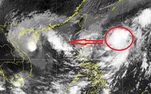 Sau bão số 6, Biển Đông có thể đón thêm một cơn bão trong cuối tháng 10