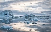 Băng tan khiến Bắc Băng Dương axit hóa nhanh gấp 3-4 lần nơi khác
