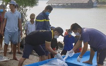 Tìm được thi thể nạn nhân vụ hai vỏ lãi tông nhau trên sông Đồng Kho