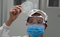 Công ty Việt Nam hợp tác quốc tế nghiên cứu thành công giải pháp giúp giảm triệu chứng nhiễm cúm A