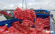 Việt Nam nhập gần 1 triệu tấn gạo, Bộ Công Thương đề xuất sửa đổi nghị định 107 để kiểm soát