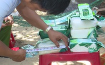 20 gói tinh thể trắng trôi ở biển Quảng Nam là ma túy đá tổng hợp