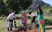 Trồng cây ở Cát Bà hưởng ứng sáng kiến trồng 1 tỉ cây xanh