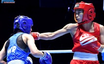 Liên đoàn và bộ môn mâu thuẫn gay gắt, boxing Việt Nam 'lãnh đủ'