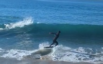 Chàng trai lướt ván ngoài biển hú hồn khi thấy cá mập