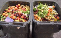 Mỹ: Vận dụng khoa học vào việc chống lãng phí thực phẩm