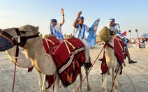 Thư Qatar: Cưỡi lạc đà cùng cổ động viên Argentina