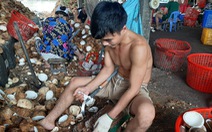 Độc đáo chợ dừa nổi Bến Tre - Kỳ 2: Nghề hay 'đổ máu ăn tiền'