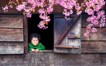 Thi ảnh 'Nụ xuân': Cả mùa xuân trong nụ cười trẻ thơ