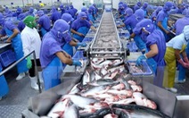 'Khai sáng' các thị trường mới đã giúp giá trị xuất khẩu cá tra vượt kỳ vọng