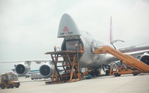 Kiến nghị trình Thủ tướng xem xét cấp giấy phép cho hãng hàng không IPP Air Cargo