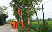 Quảng Trị khởi động 'Tháng Thanh niên' bằng công trình thắp sáng đường quê