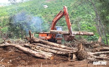 Phó thủ tướng yêu cầu Bộ Công an điều tra, xử lý tình trạng phá rừng ở Lâm Đồng