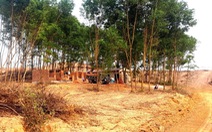 Cải tạo đất, xây công trình trái phép trên rừng phòng hộ