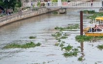 Phát hiện xác chết nam giới ở mép sông Sài Gòn