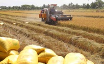 Nâng cao chất lượng nông sản Việt - Kỳ 3: Không thể không sản xuất sạch