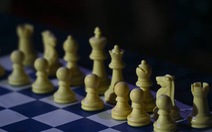 Nữ kỳ thủ 12 tuổi bị chó vồ chết khi dự Giải vô địch cờ vua trẻ Nga