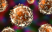 Tìm thấy bằng chứng về tế bào miễn dịch bí ẩn ở con người