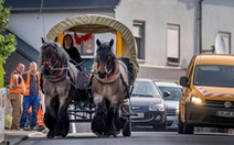 Giá xăng tăng, cô nông dân Đức bỏ SUV dùng xe ngựa