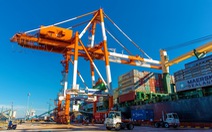 Vì sao nhập khẩu đường biển giảm mạnh?