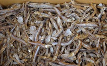 Tìm thấy hạt vi nhựa trong cá khô ở nhiều nước châu Á