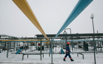 Ukraine ngừng xuất khẩu khí đốt, than đá và dầu nhiên liệu
