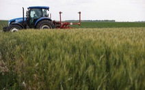 Ngũ cốc Ukraine sắp được khơi thông?
