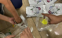 Ma túy đột lốt bỉm, sữa theo đường hàng không vào Việt Nam