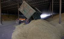 Nga tuyên bố 'sẵn sàng xuất khẩu hàng chục triệu tấn ngũ cốc nếu phương Tây bỏ cấm vận'