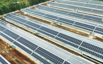 EVNSPC thanh toán tiền điện mặt trời cho các doanh nghiệp hoàn thiện hồ sơ